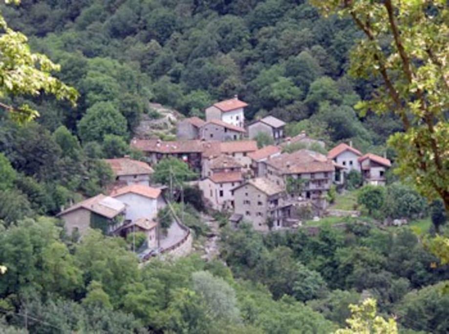 Вилла Torre Del Grifone Nel Medioevo Di Cividale Del Friuli Faedis Экстерьер фото