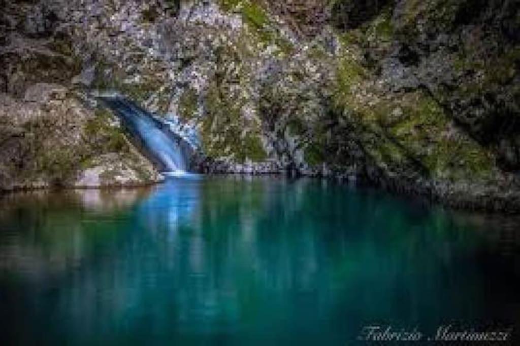 Вилла Torre Del Grifone Nel Medioevo Di Cividale Del Friuli Faedis Экстерьер фото