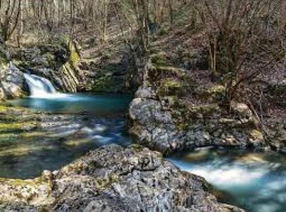 Вилла Torre Del Grifone Nel Medioevo Di Cividale Del Friuli Faedis Экстерьер фото