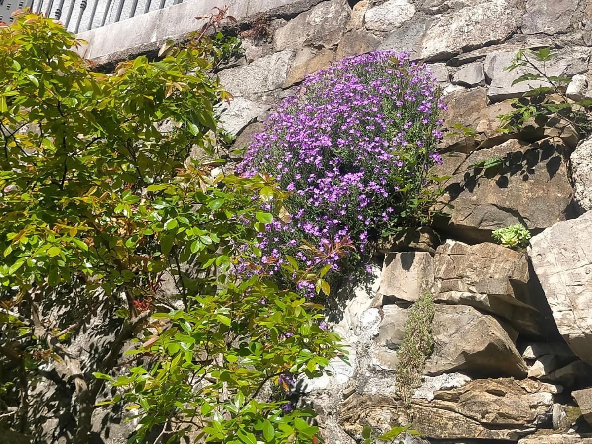 Вилла Torre Del Grifone Nel Medioevo Di Cividale Del Friuli Faedis Экстерьер фото