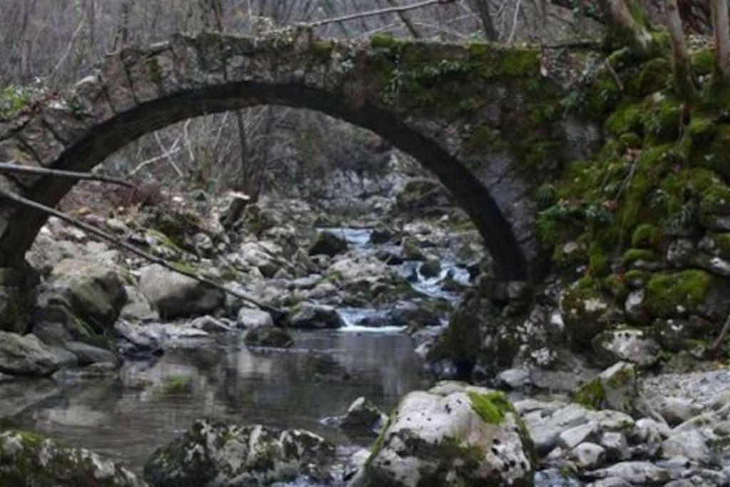 Вилла Torre Del Grifone Nel Medioevo Di Cividale Del Friuli Faedis Экстерьер фото